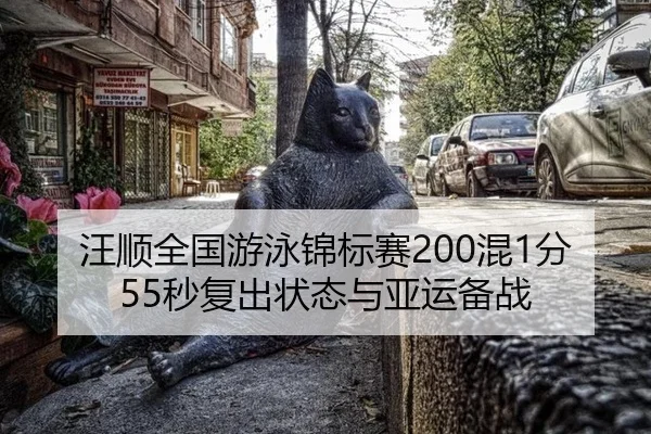 wang-shun-quan-guo-you-yong-jin-biao-sai-hun-fen-miao-fu-chu-zhuang-tai-yu-ya-yun-bei-zhan-2-243.jpg